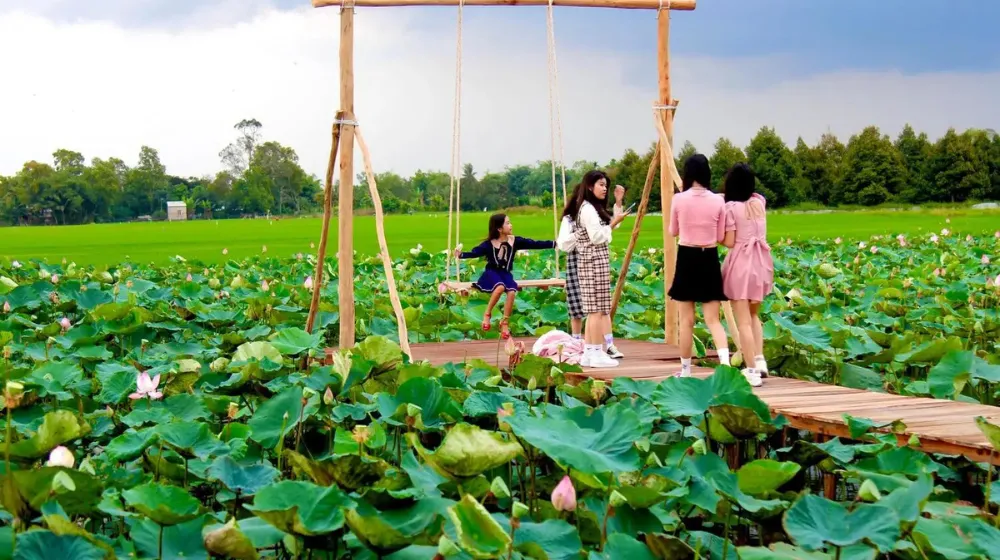 Khu Du Lịch Sinh Thái Đồng Sen Tháp Mười