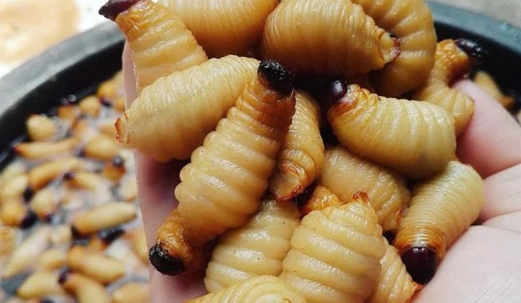 Đến Bến Tre Ăn Gì,Top Món Ngon, Quán Ăn Ngon ? 10 Duong dua