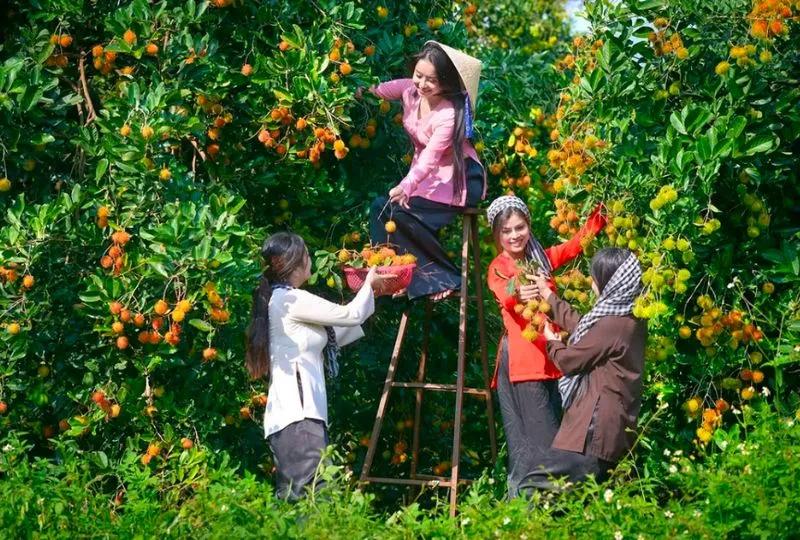 Đến Bến Tre Ăn Gì,Top Món Ngon, Quán Ăn Ngon ? 16 Trai cay miet vuon